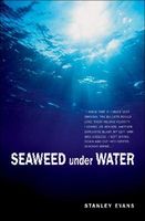 Seaweed Under Water