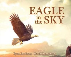 Eagle in the Sky