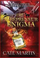 The Entrepreneur Enigma