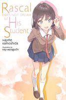 Rascal Does Not Dream of His Student (light novel)