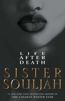 Sister Souljah's Latest Book