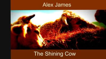 The Shining Cow