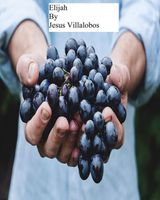 Jesus Villalobos's Latest Book