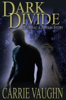 Dark Divide