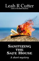 Sanitizing the Safe House