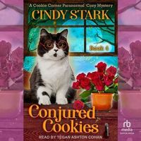 Cindy Stark's Latest Book