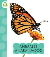 Animales anaranjados