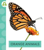 Orange Animals