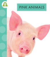 Pink Animals